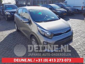 Kia Picanto Picanto (JA), Hatchback, 2017 1.0 12V picture 1