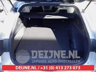 Toyota Corolla Corolla Touring Sport (E21/EH1), Combi, 2019 1.8 16V Hybrid 140 picture 14