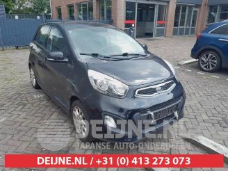 Démontage voiture Kia Picanto Picanto (TA), Hatchback, 2011 / 2017 1.2 16V 2012/3
