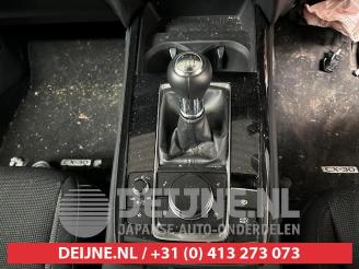 Mazda CX-30 CX-30 (DM), SUV, 2019 2.0 e-SkyActiv-G 122 16V picture 19