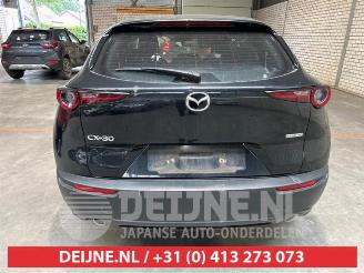 Mazda CX-30 CX-30 (DM), SUV, 2019 2.0 e-SkyActiv-G 122 16V picture 6