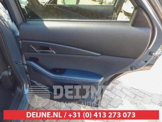 Mazda CX-30 CX-30 (DM), SUV, 2019 2.0 e-SkyActiv-G 122 16V picture 14