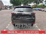 klik voor vergroting