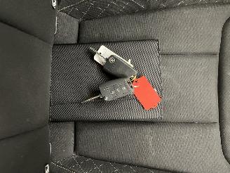 Skoda Kamiq 1.0 TSI DSG Clima picture 14