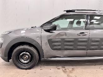 Citroën C4 cactus 1.2 PureTech Navi Clima picture 16