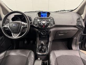 Ford EcoSport 1.0 EcoBoost Titanium Navi Clima picture 11