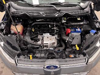 Ford EcoSport 1.0 EcoBoost Titanium Navi Clima picture 15