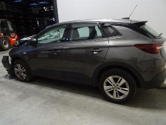 Salvage car Opel Grandland 1.2 TURBO 2018/3