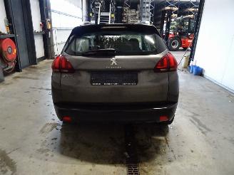 Peugeot 2008 1.6 HDI picture 2
