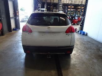 Peugeot 2008 1.2 THP picture 2