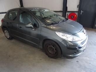 Peugeot 207 1.4 16V picture 1