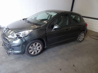 Peugeot 207 1.4 16V picture 4