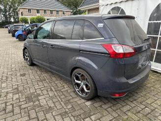 Ford Grand C-Max Grand C-Max (DXA), MPV, 2010 / 2019 1.6 SCTi 16V picture 5