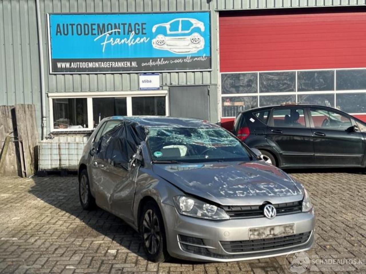 Volkswagen Golf Golf VII (AUA), Hatchback, 2012 / 2021 1.6 TDI 16V