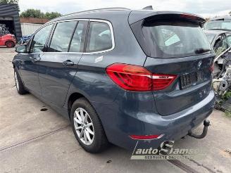 BMW 2-serie 2 serie Gran Tourer (F46), MPV, 2014 218i 1.5 TwinPower Turbo 12V picture 3