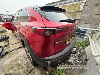 Mazda CX-30 CX-30 (DM), SUV, 2019 2.0 e-SkyActiv-G 150 16V picture 6