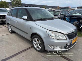 Skoda Fabia Fabia II Combi, Combi 5-drs, 2007 / 2014 1.2 TDI 12V Greenline picture 3
