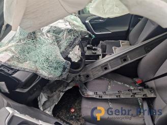 Toyota Rav-4 RAV4 (A5), Terreinwagen, 2018 2.5 Hybrid 16V AWD picture 4