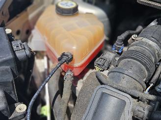 Ford B-Max 1.0 EcoBoost 12V 100 MPV  Benzine 999cc 74kW (101pk) picture 9