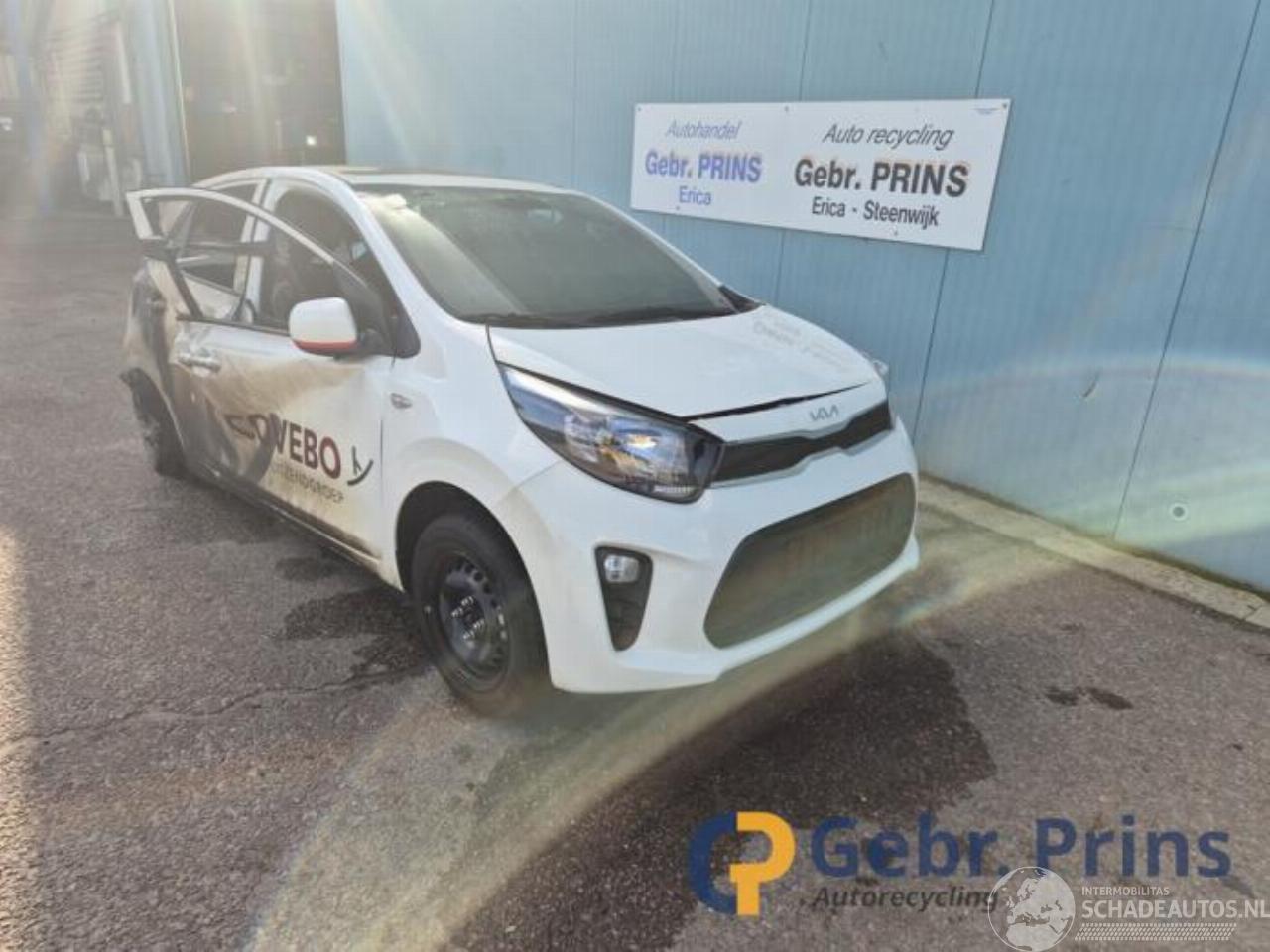 Kia Picanto Picanto (JA), Hatchback, 2017 1.0 DPi 12V
