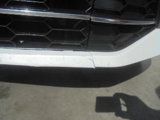 Skoda Superb 2.0 TDI Ambition Business, Panorama, Navi, DAB+, Climate & Cruise picture 25