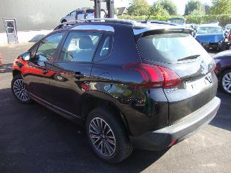 Peugeot 2008  picture 6