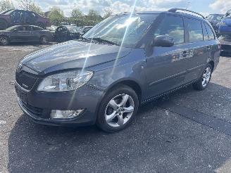  Skoda Fabia  2011/1