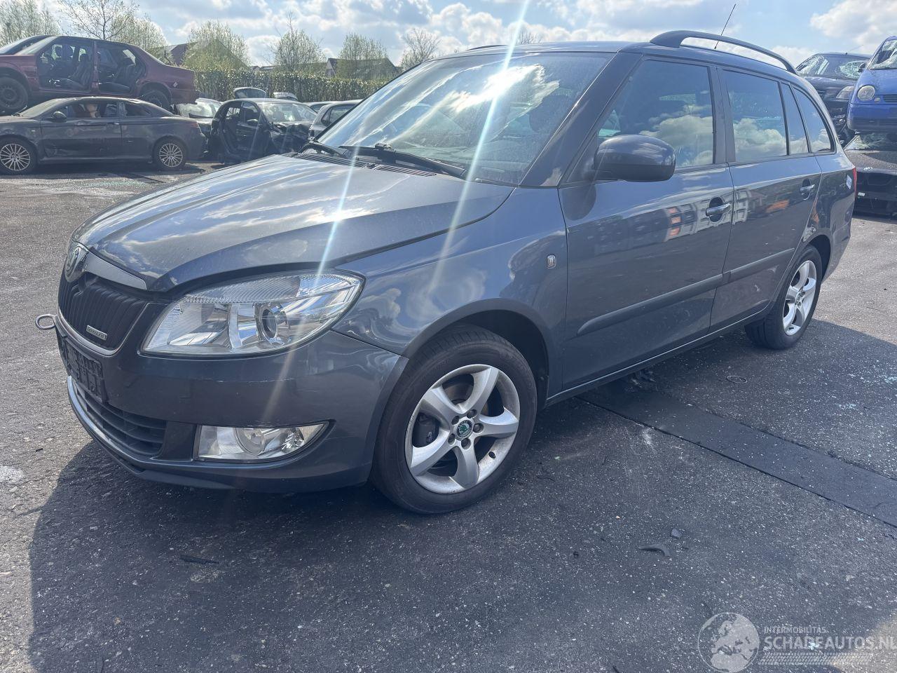 Skoda Fabia 