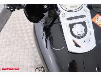 Harley-Davidson  96 FXDF Dyna Fat Bob LED picture 14