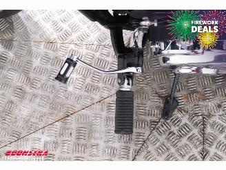 Harley-Davidson Sport Glide 107 FLSB 5HD LED ABS picture 23