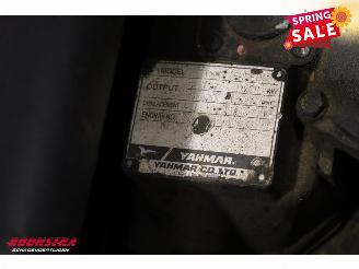   C 610 Compact BY 2011 Rupshijskraan Raupenkran picture 20