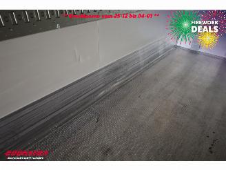 Krone  SD Kuhler Carrier Vector ME19 MT Doppelstock picture 12