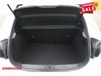 Peugeot e-208 EV Active 51 kWh Apple/Android Navi Clima Cruise PDC 12.375 km! picture 23