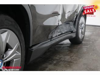 BMW iX1 eDrive20 67 kWh LED Virtual Apple/Android Camera SHZ picture 8