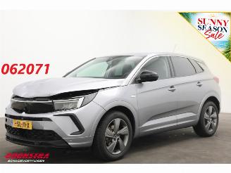 Avarii autoturisme Opel Grandland 1.2 Turbo Edition Apple/Android Virtual Cruise LRHZ SHZ AHK 2024/3