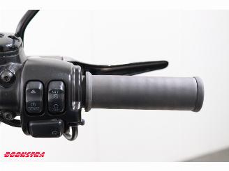 Harley-Davidson  FXDWG Dyna Wide Glide picture 13