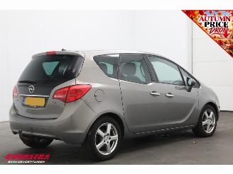 Opel Meriva 1.7 CDTi Cosmo Clima Cruise PDC AHK picture 3