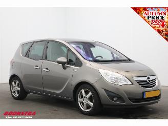 Opel Meriva 1.7 CDTi Cosmo Clima Cruise PDC AHK picture 2