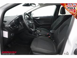 Ford Fiesta 1.0 EcoBoost Titanium ACC Navi Clima Apple/Android Camera PDC picture 17