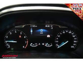 Ford Fiesta 1.0 EcoBoost Titanium ACC Navi Clima Apple/Android Camera PDC picture 21