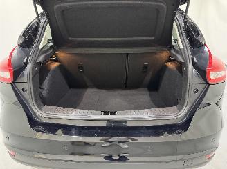 Ford Focus HB 1.0 EcoBoost Titanium Edition picture 33