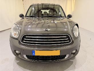 Mini Countryman Cooper 1.6 Chili Navi/Clima picture 14
