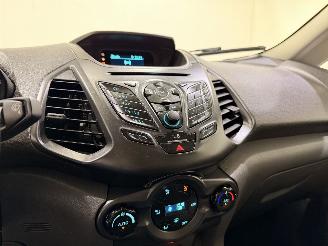 Ford EcoSport 1.0 Ecosport Titanium picture 22