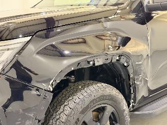 Volkswagen Amarok DC 3.0 TDI V6 PanAmericana 4Motion Aut10 picture 15