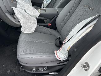 Zeekr X Long Range rwd 200 KW  Automaat   ( 4924 Km ) picture 7