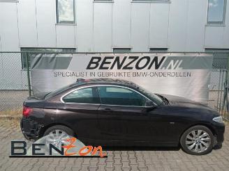 BMW 2-serie 2 serie (F22), Coupe, 2013 / 2021 218d 2.0 16V picture 3