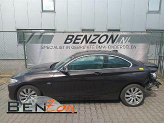 Dezmembrări autoturisme BMW 2-serie 2 serie (F22), Coupe, 2013 / 2021 218d 2.0 16V 2014/7