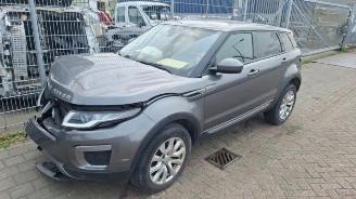 Vrakbiler auto Land Rover Range Rover Range Rover Evoque (LVJ/LVS), SUV, 2011 / 2019 2.0 D 150 16V 5-drs. 2016/0