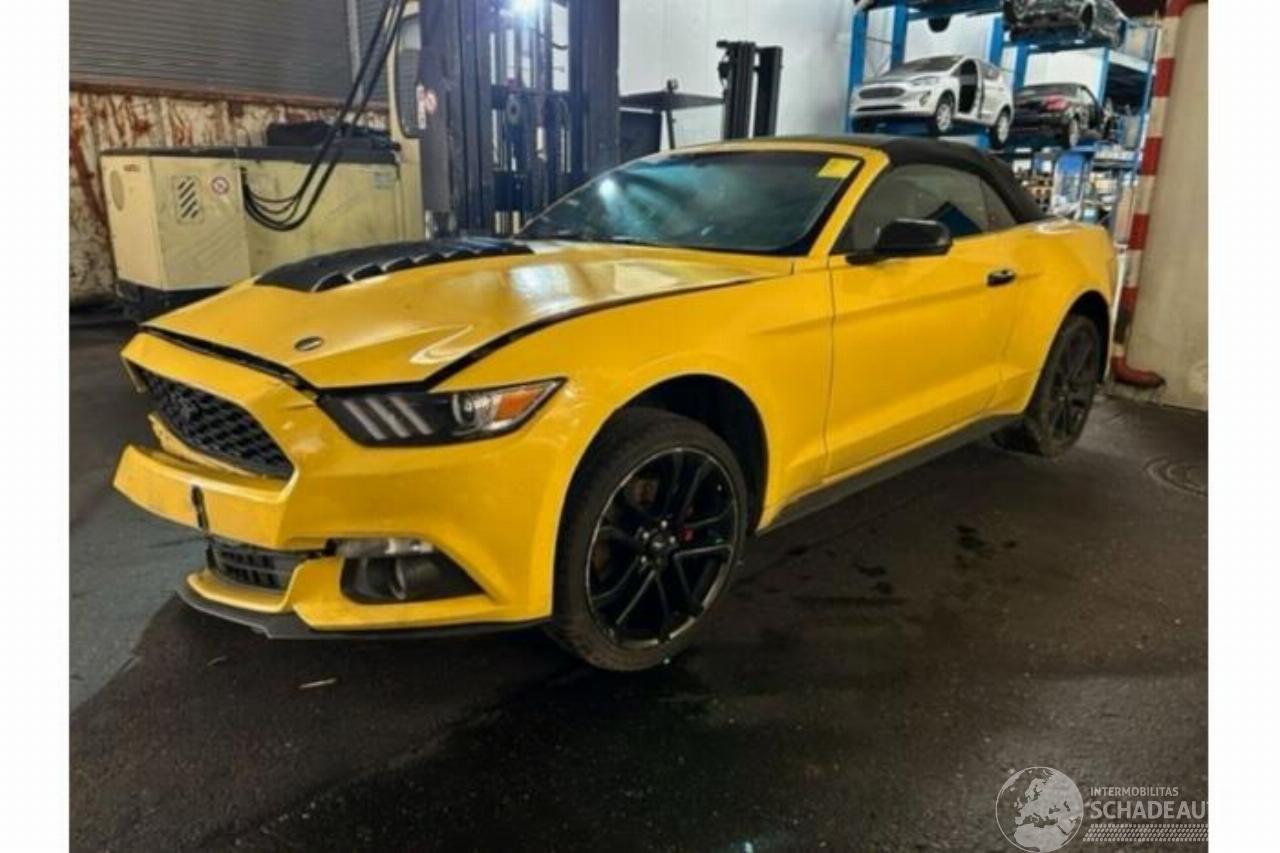 Ford USA Mustang Mustang VI Convertible, Cabrio, 2014 / 2023 2.3 EcoBoost 16V