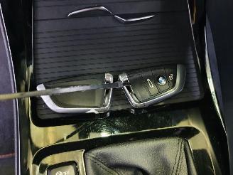 BMW X1 F48 XDrive 20d picture 20